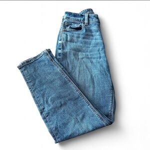 American Eagle Outfitters Classic Straight Light Blue Denim Jeans